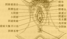 大阴帝 视频,传奇帝王的一生传奇